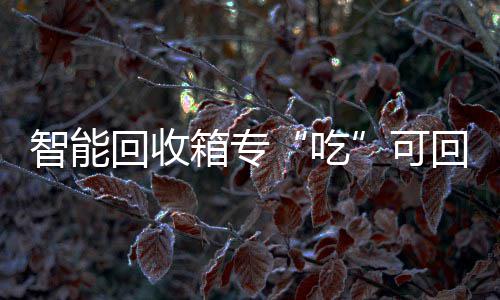箱专垃圾吃回收回收智能可
